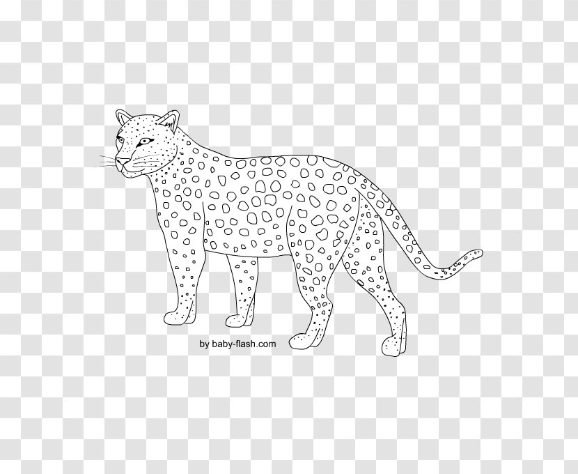 Leopard Cheetah Lion Whiskers Cat - Black And White Transparent PNG