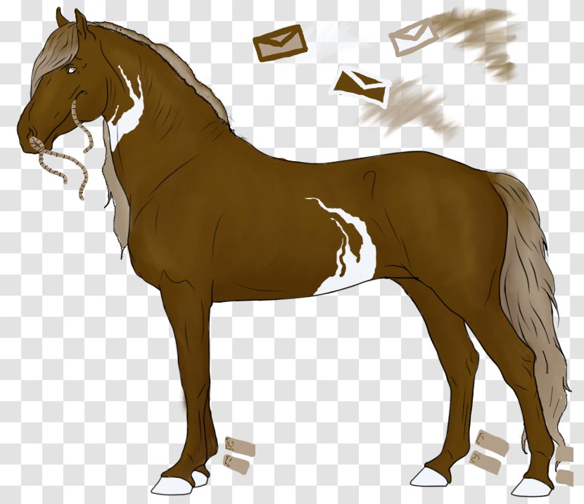 Foal Stallion Mare Mustang Colt Transparent PNG