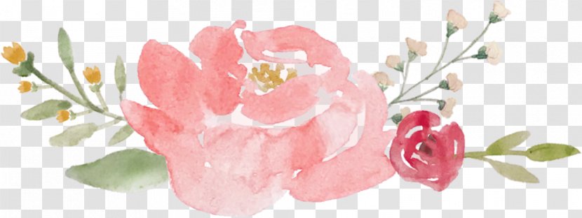 Floral Design Rose Flower Pink - Paper - Blooms Transparent PNG