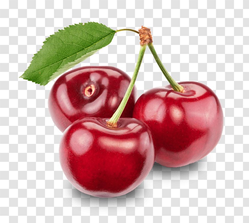 Cherry Clip Art - Acerola Family - Red Image Download Transparent PNG