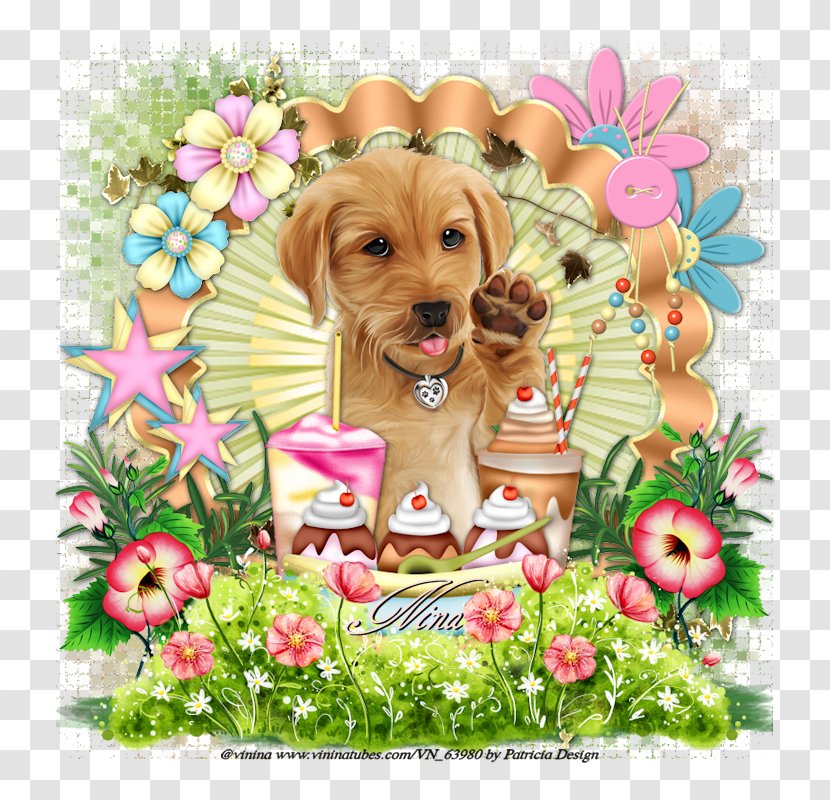 Golden Retriever Puppy Dog Breed Companion Sporting Group - Crossbreeds Transparent PNG