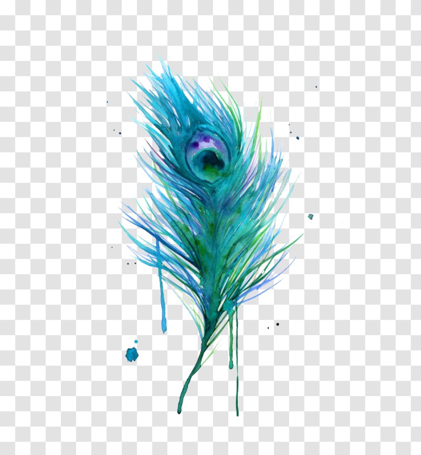 Asiatic Peafowl Feather Bird Clip Art - Peacock Transparent PNG