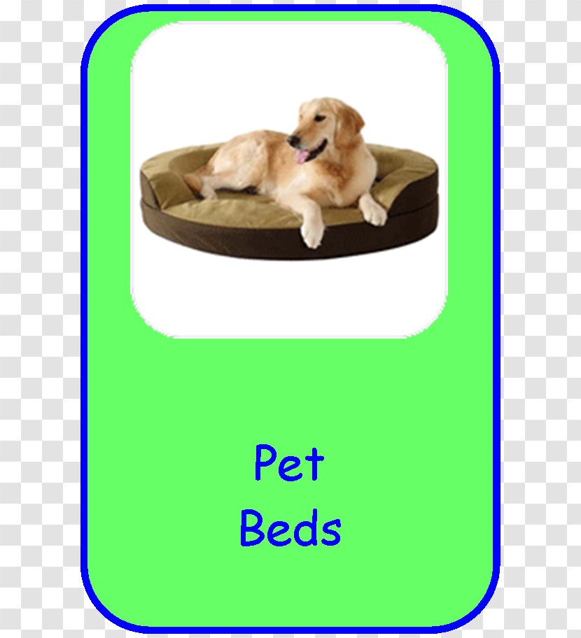 Dog Breed Puppy Golden Retriever Companion Transparent PNG