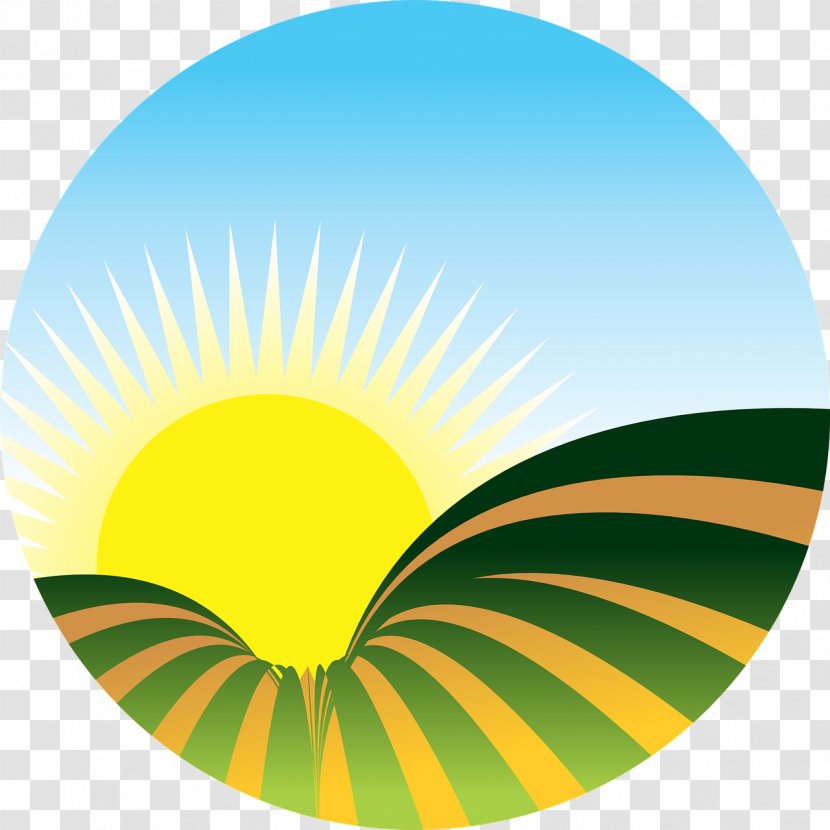 Sunrise Clip Art Transparent PNG