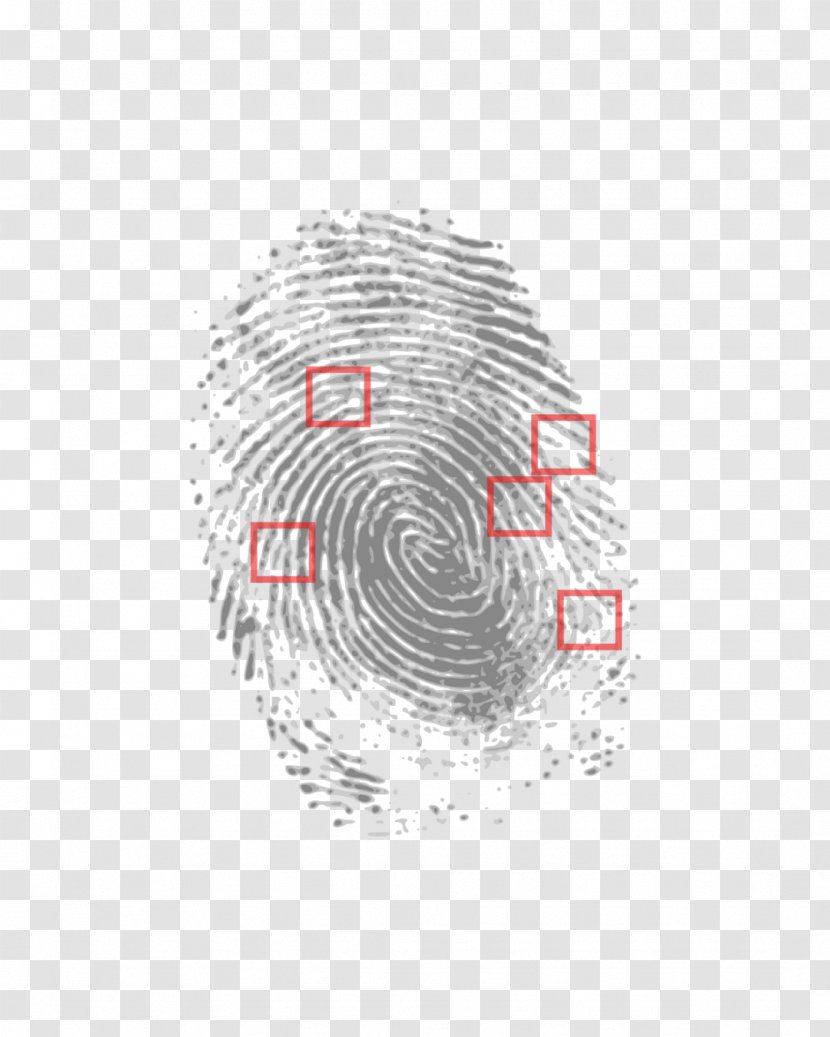 Fingerprint Crime Scene Biometrics Detective - Finger Print Transparent PNG