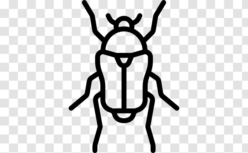 Beetle Clip Art - Entomology - Bee Transparent PNG