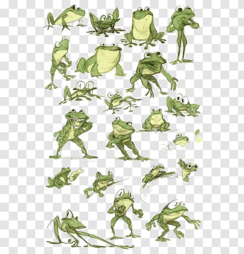 Frog Model Sheet Character Drawing - Grass - Green Transparent PNG