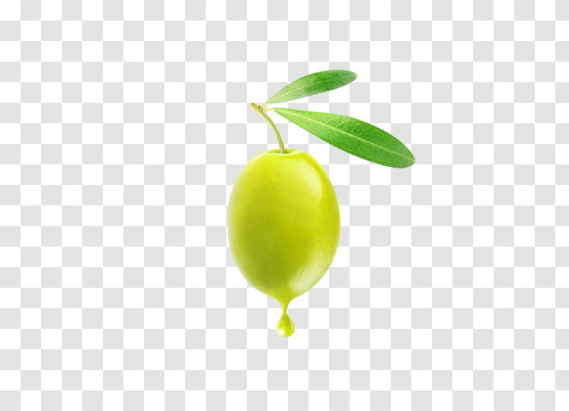 Olive Oil Fruit - Image File Formats Transparent PNG
