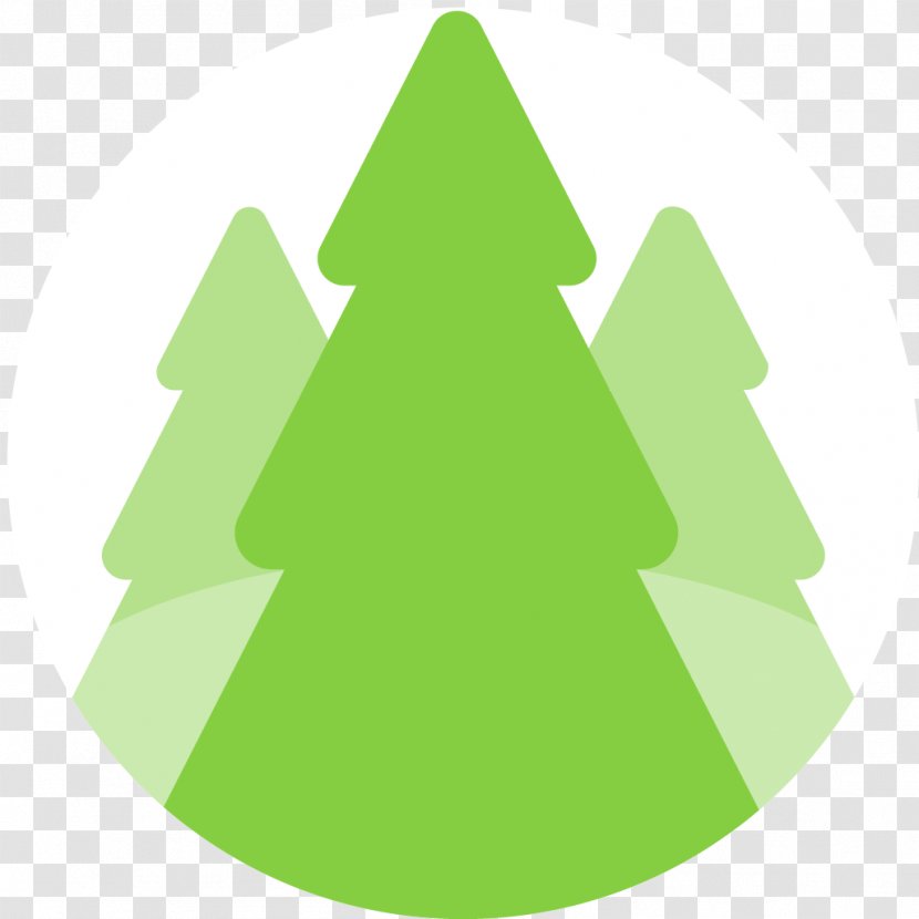 Fir Christmas Ornament Tree Spruce - Pine Family Transparent PNG