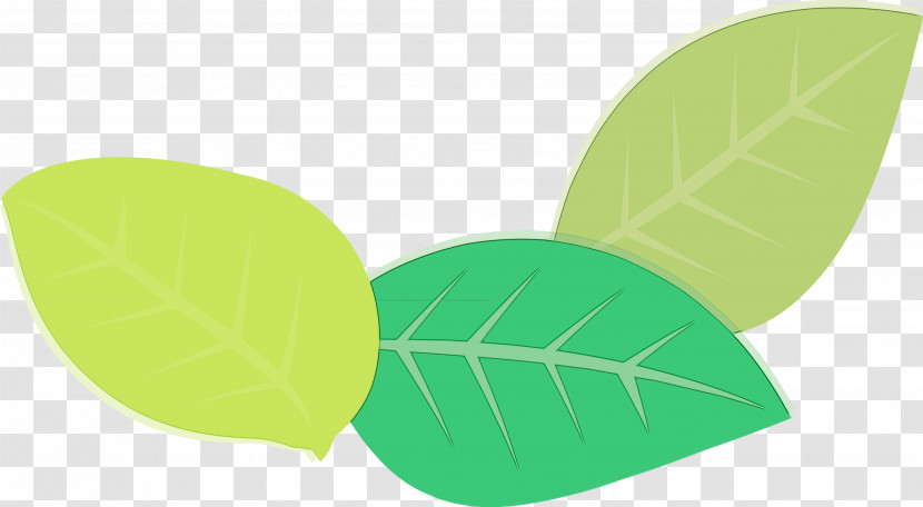 Leaf Green Meter Science Plants Transparent PNG