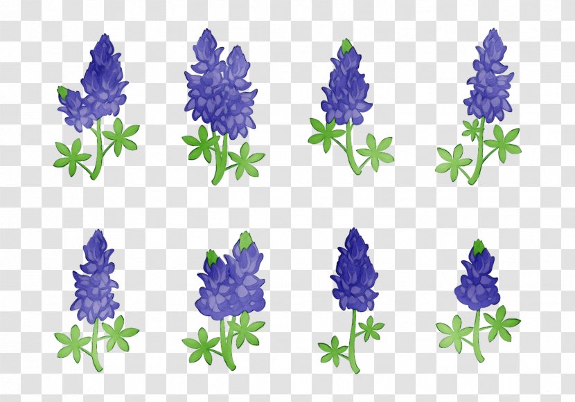 Bluebonnet Purple Lavender Cut Flowers Tree - Lavandula Dentata Transparent PNG