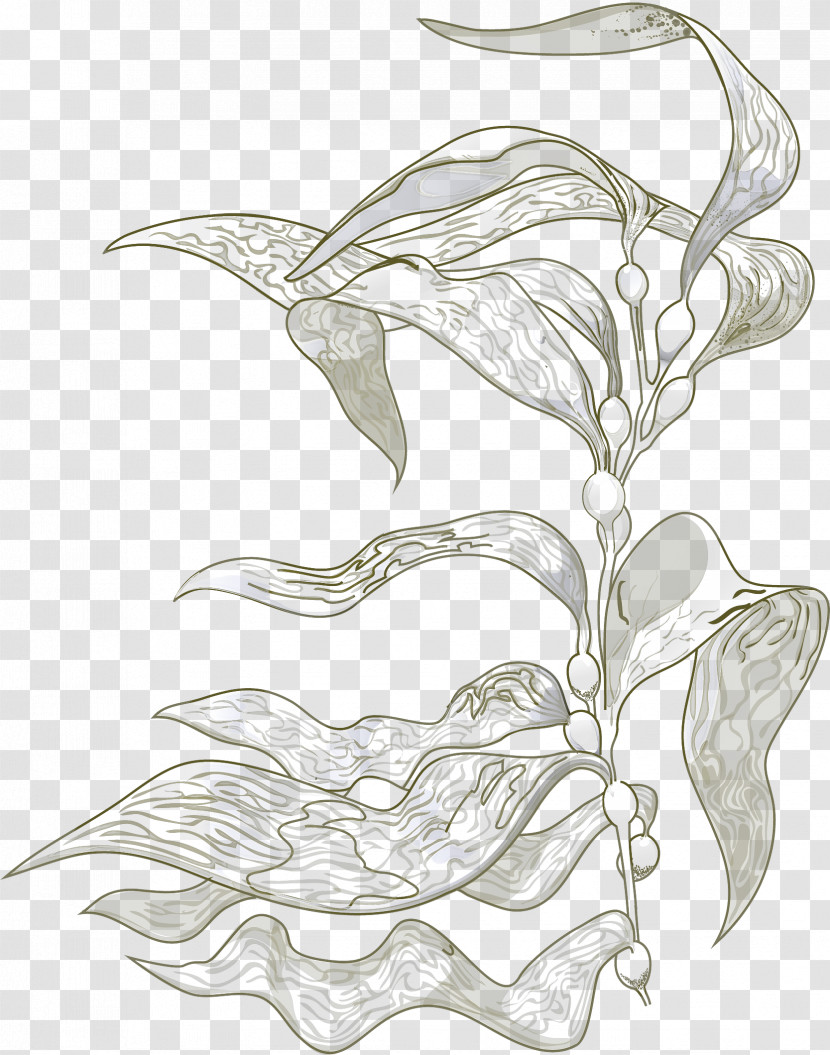 White Leaf Black-and-white Plant Flower Transparent PNG