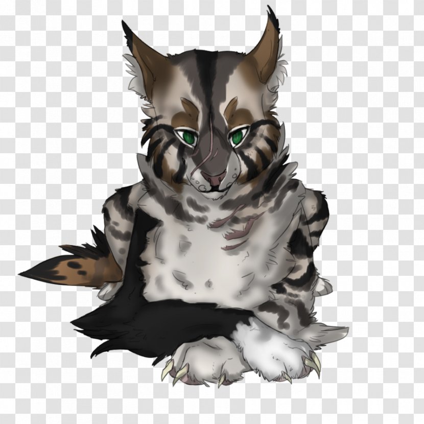 Whiskers Cat Owl Fauna Beak - Tail Transparent PNG