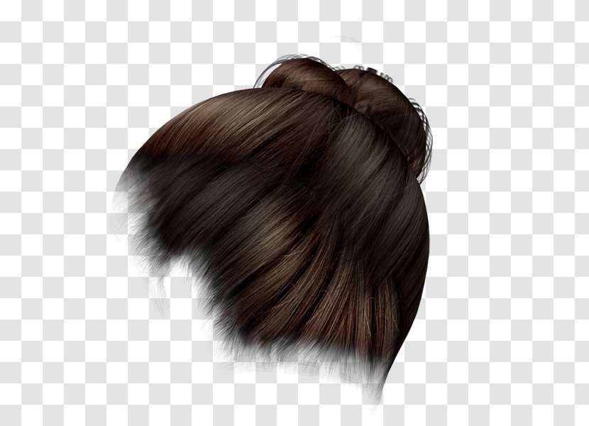 Long Hair Coloring Brown - Fur - Bigote Transparent PNG