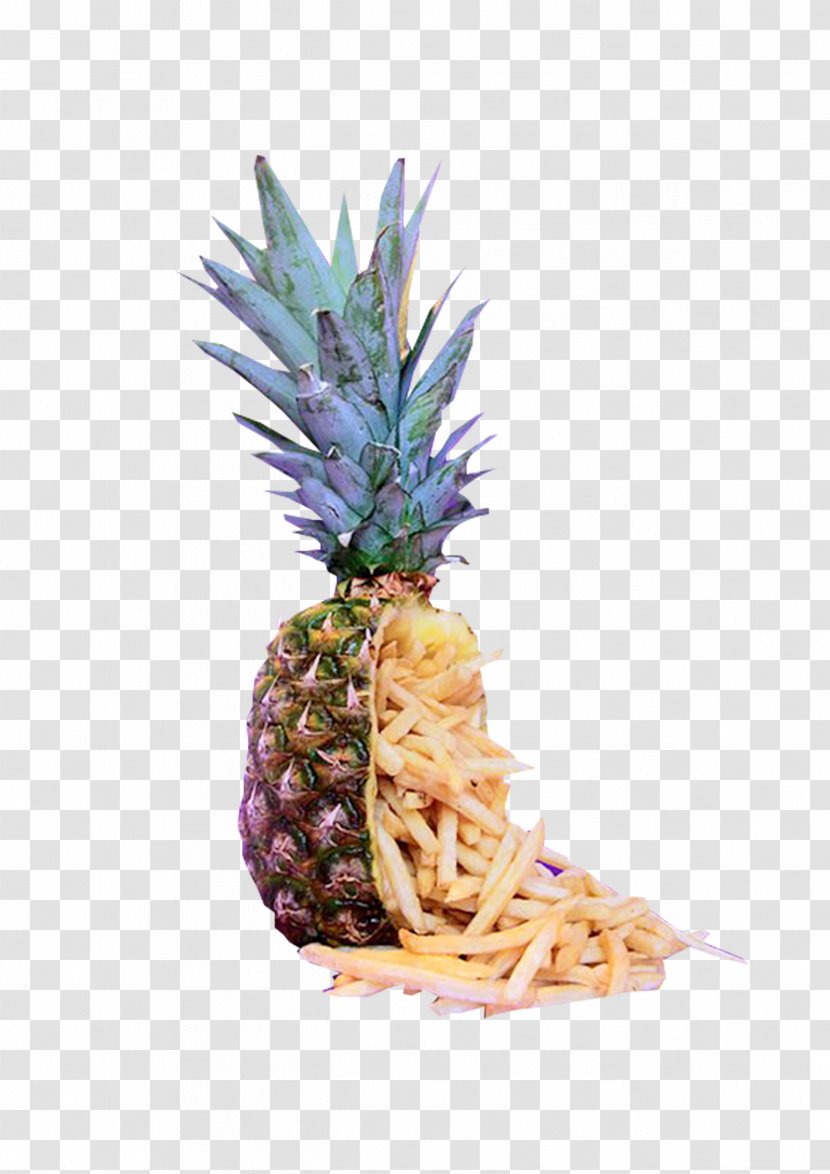 Pineapple Download Icon - Google Images Transparent PNG