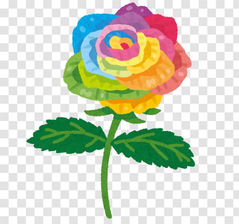 Rainbow Rose Color Flower - Violet Transparent PNG