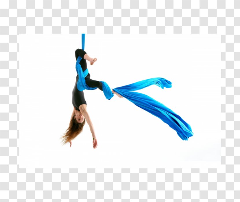 Aerial Silk Acrobatics En L'air Academy Of Dance And Circus Hoop - Dancer Transparent PNG