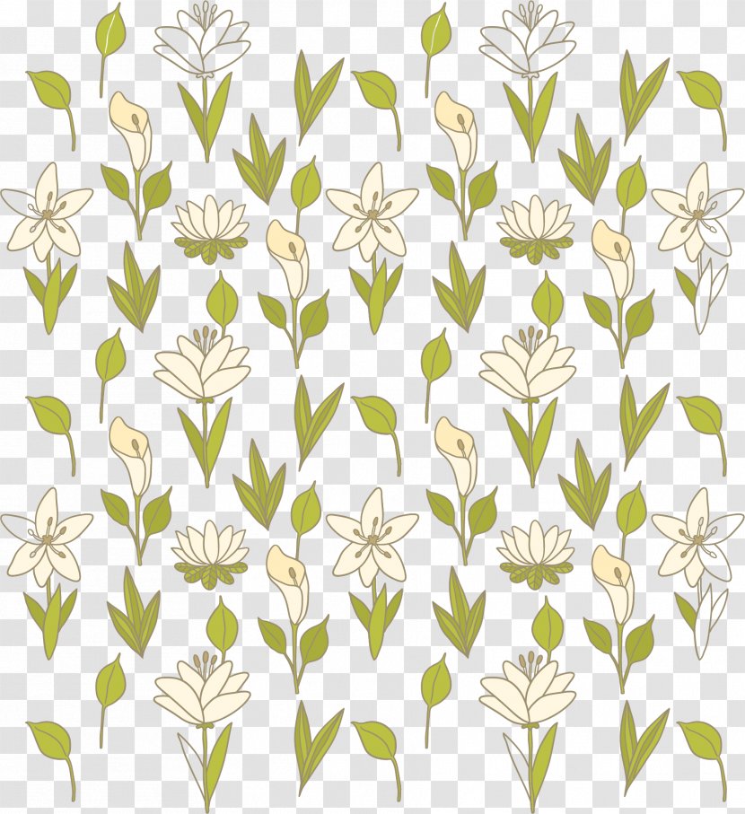 Arum-lily Floral Design Flower Euclidean Vector - Wildflower - Calla Lily Flowers Background Transparent PNG