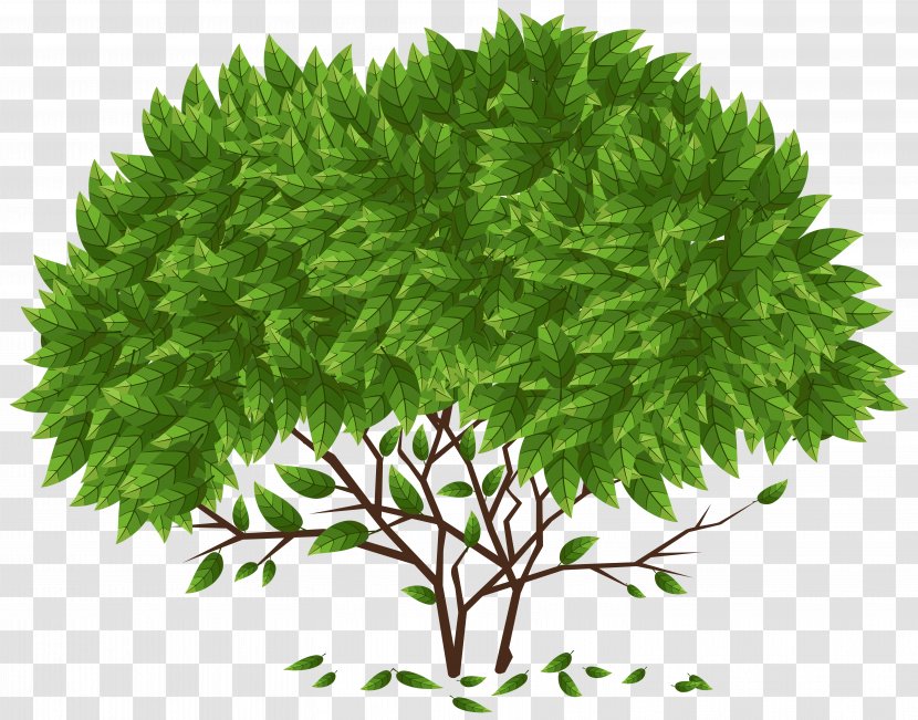 Tree - Istighfar Transparent PNG