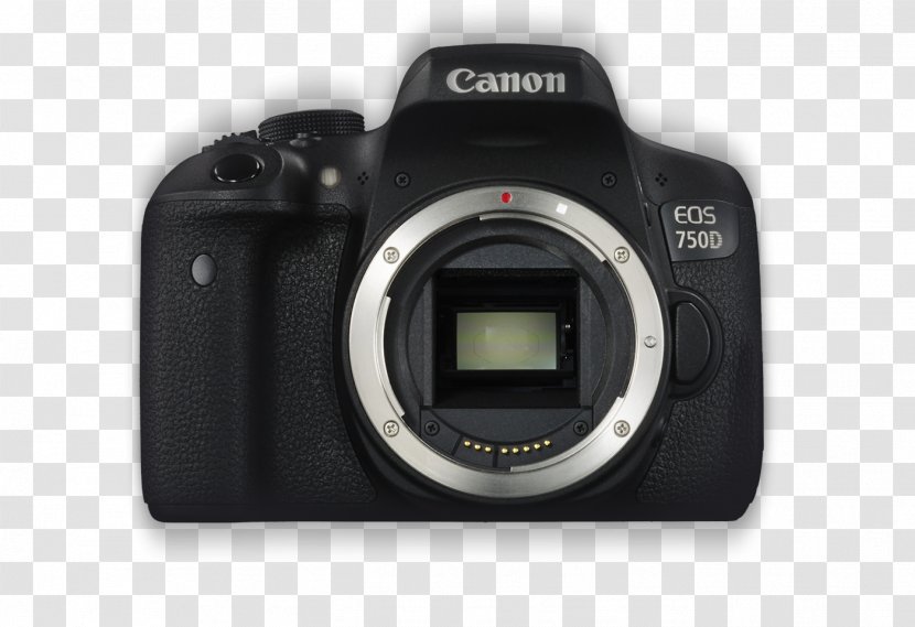 Canon EOS 750D 600D 700D Amazon.com Digital SLR - Photography - Camera Transparent PNG