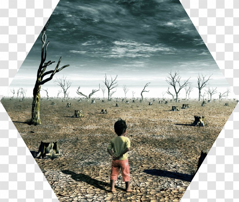 Global Warming Acid Rain Climate Change Human Impact On The Environment - Natural - Drought Transparent PNG