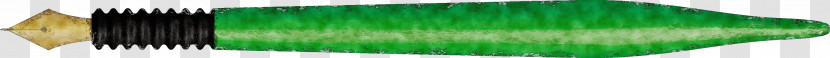 Green Transparent PNG