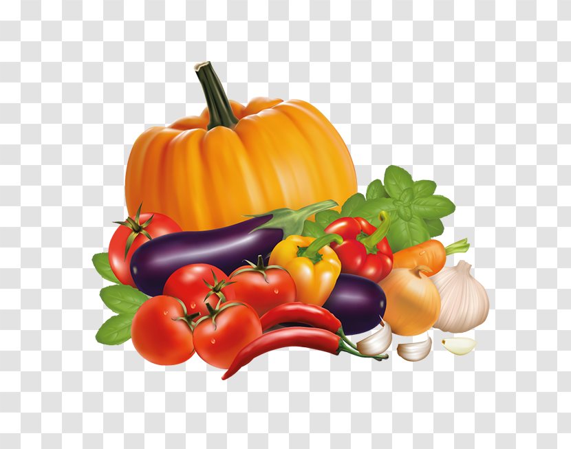 Vegetable Chili Pepper Bell Stock - Peppers Transparent PNG