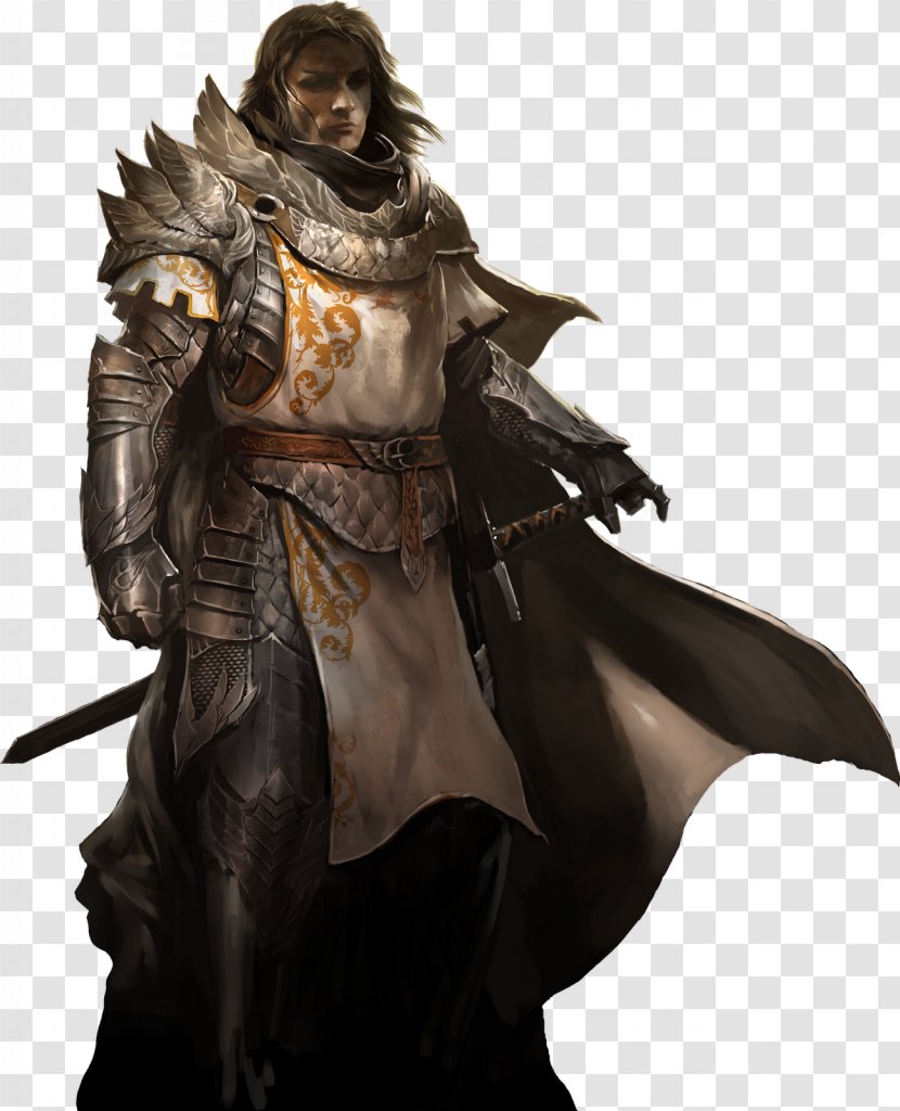 Guild Wars 2 Dungeons & Dragons Paladin Video Games Massively Multiplayer Online Game - Logo Transparent PNG