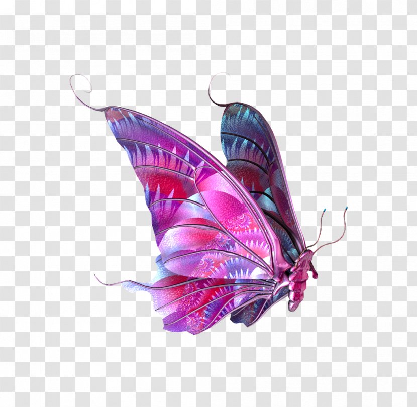 Butterfly Clip Art - Wing - Elements Transparent PNG