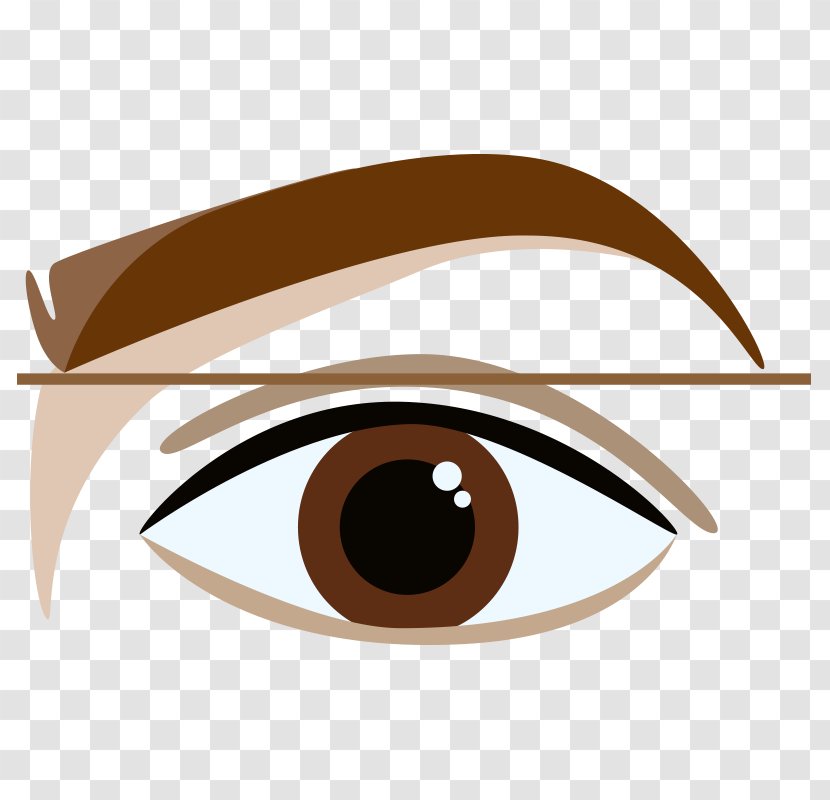 Eyebrow Clip Art Face Eyelash - Silhouette Transparent PNG
