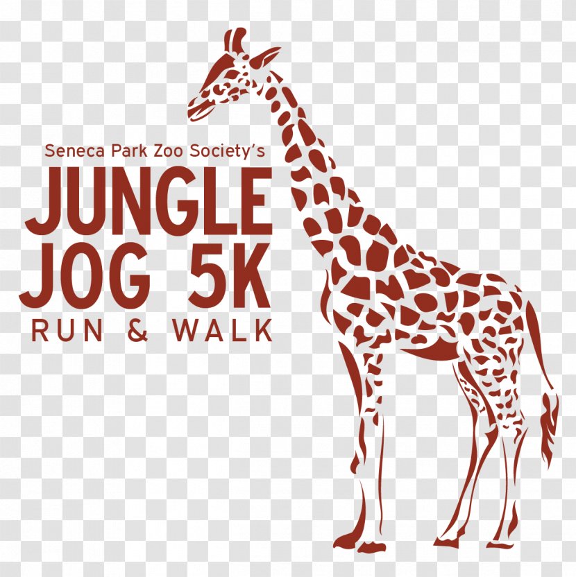 Seneca Park Zoo Lion Northern Giraffe African Elephant - 5k Run Transparent PNG