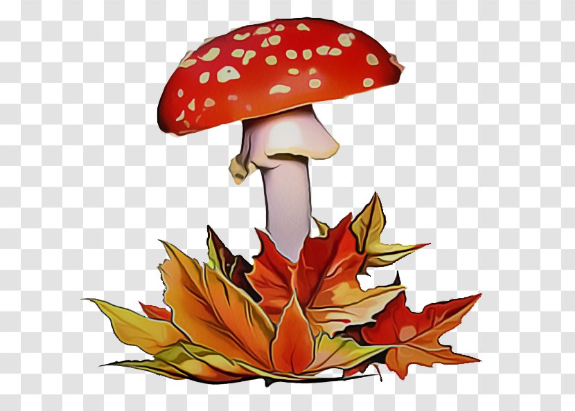 Agaric Mushroom Leaf Agaricomycetes Autumn - Plant Fungus Transparent PNG