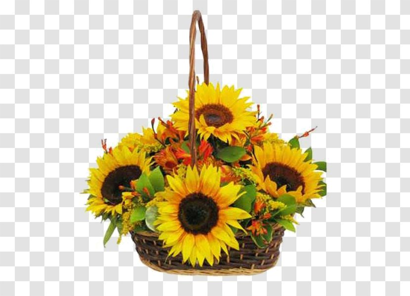 Common Sunflower Floral Design Floristry Basket - Flower Arranging Transparent PNG
