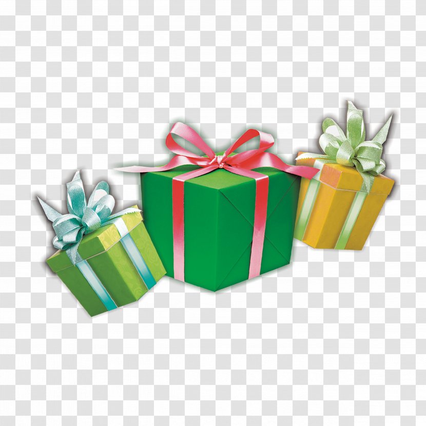 Gift Green Icon - Coupon Transparent PNG