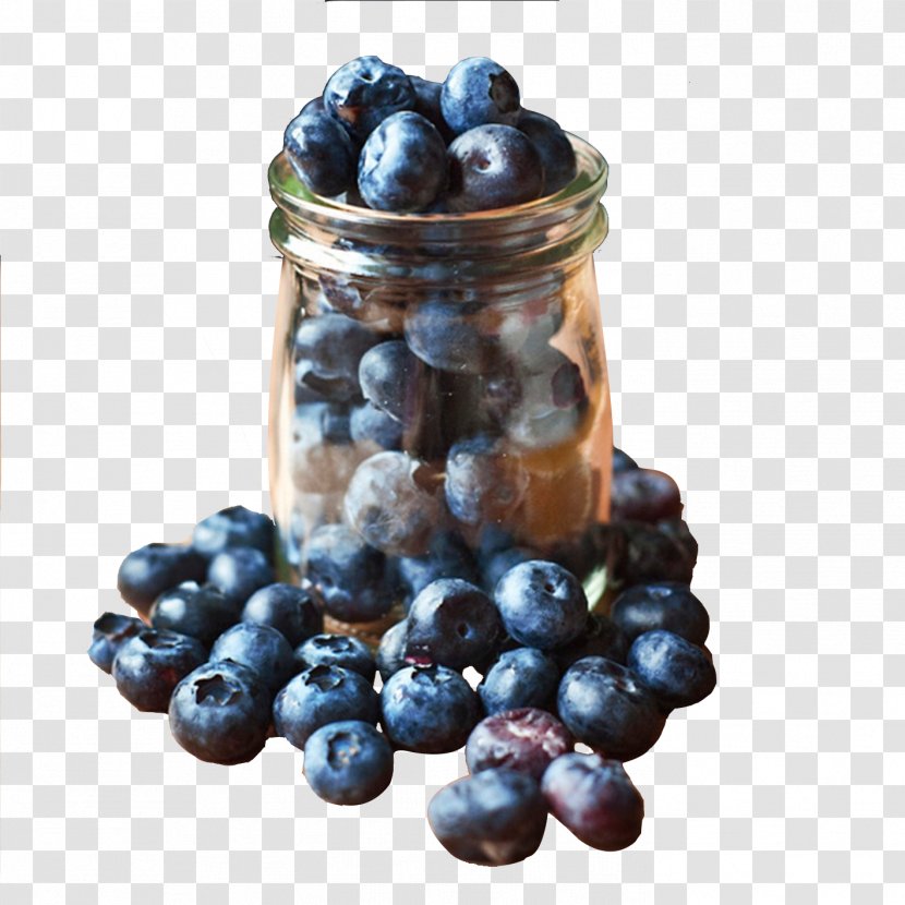 Blueberry Purple Bilberry - Fruit Transparent PNG