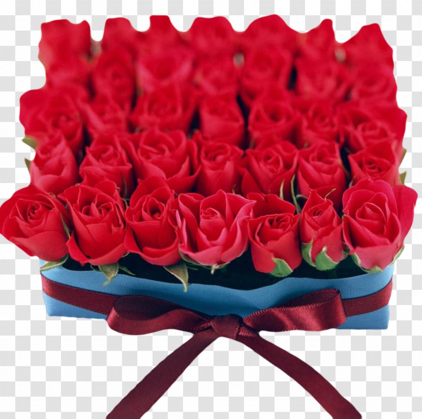 Valentine's Day Flower Rose Wallpaper - Arranging - Red Flowers Square Bandage Physical Map Transparent PNG