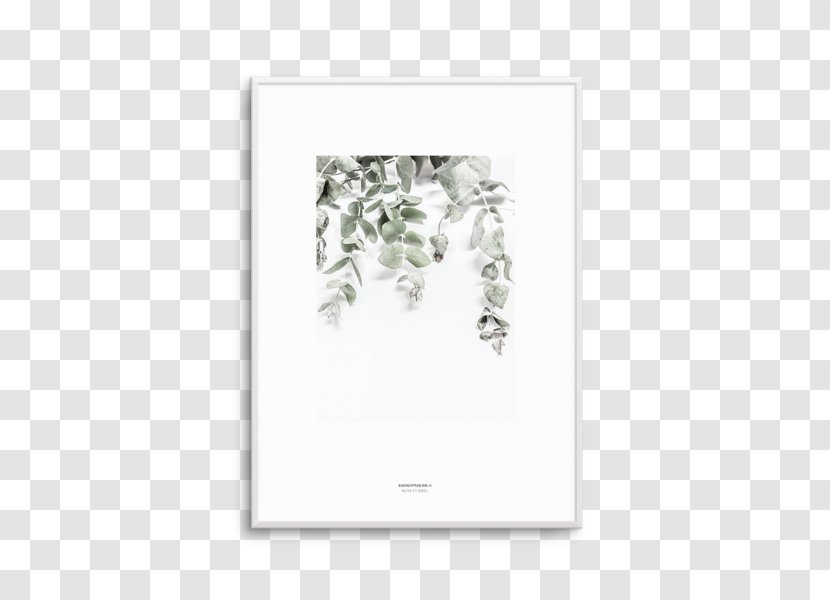Gum Trees Poster Corymbia Ficifolia Printing Printmaking - Tree - Botanical Olive Transparent PNG