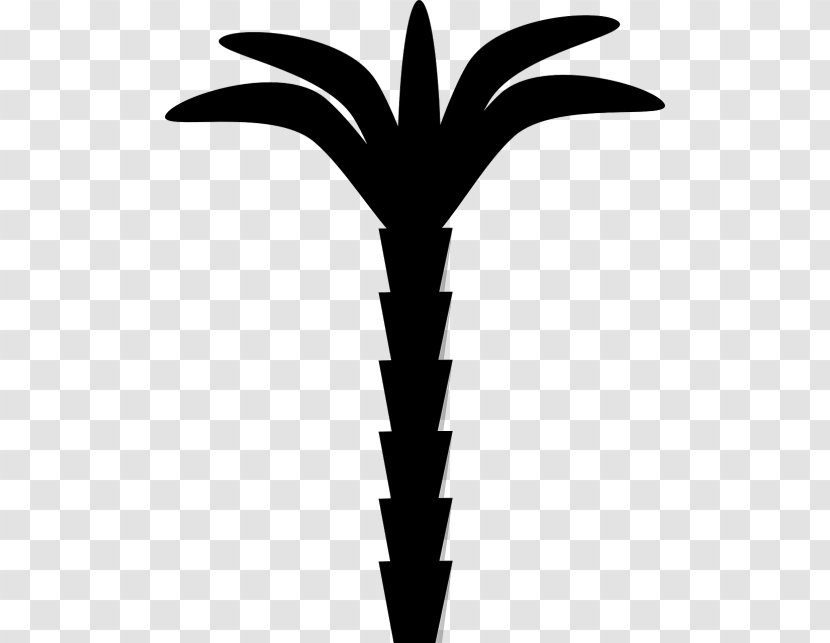 Leaf Clip Art Plant Stem Line Neck - Plants - Palm Tree Transparent PNG