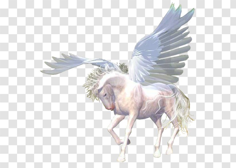 Horse Blog Unicorn Marabout - Mane Transparent PNG