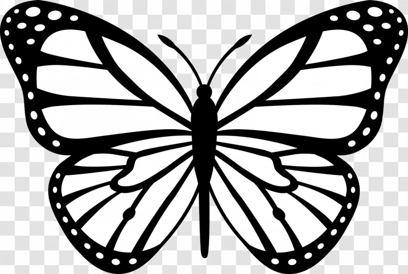 Monarch Butterfly Insect Black And White Clip Art - Cartoon Transparent PNG