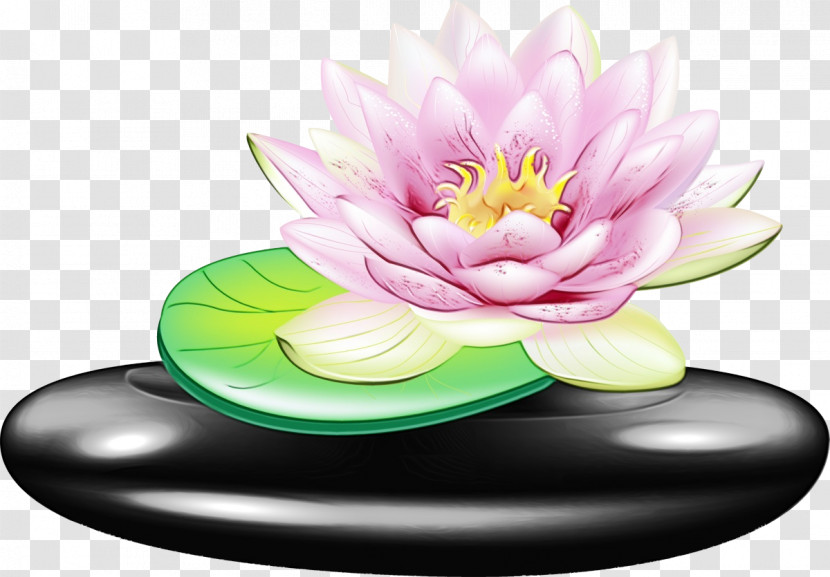 Nymphaea Nelumbo Petal Transparent PNG