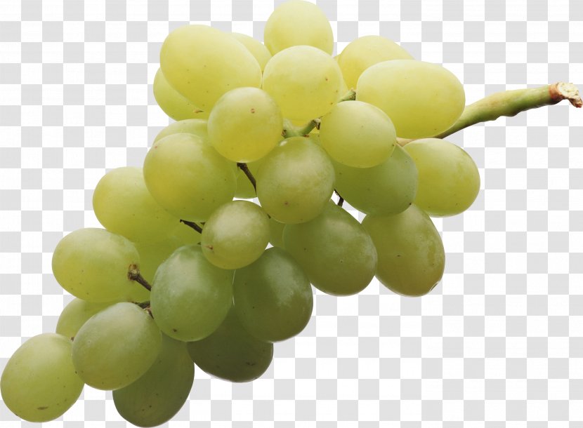 Common Grape Vine Sultana Juice Seedless Fruit - Berry - Green Image Transparent PNG