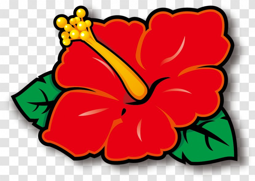 Rosemallows Cut Flowers Cartoon Petal Clip Art - Malvales - Pioneer Day Transparent PNG