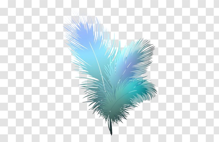 Bird Feather Clip Art - Wing Transparent PNG