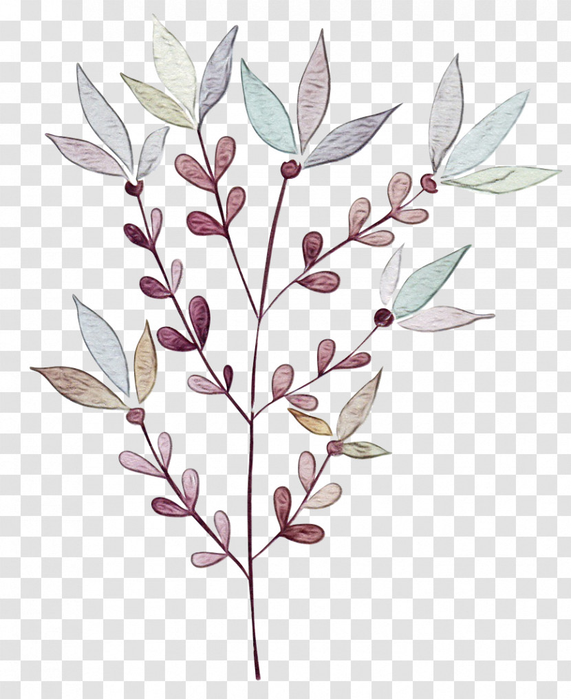 Leaf Plant Stem Twig Flower Tree Transparent PNG