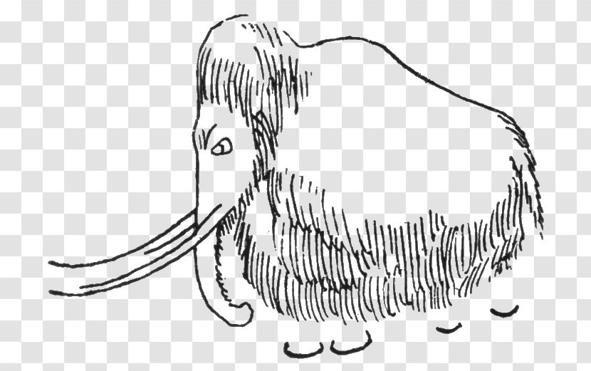 Woolly Mammoth Drawing Columbian Mastodon Font-de-Gaume - Flower - Hand-painted Men In The Middle East Transparent PNG