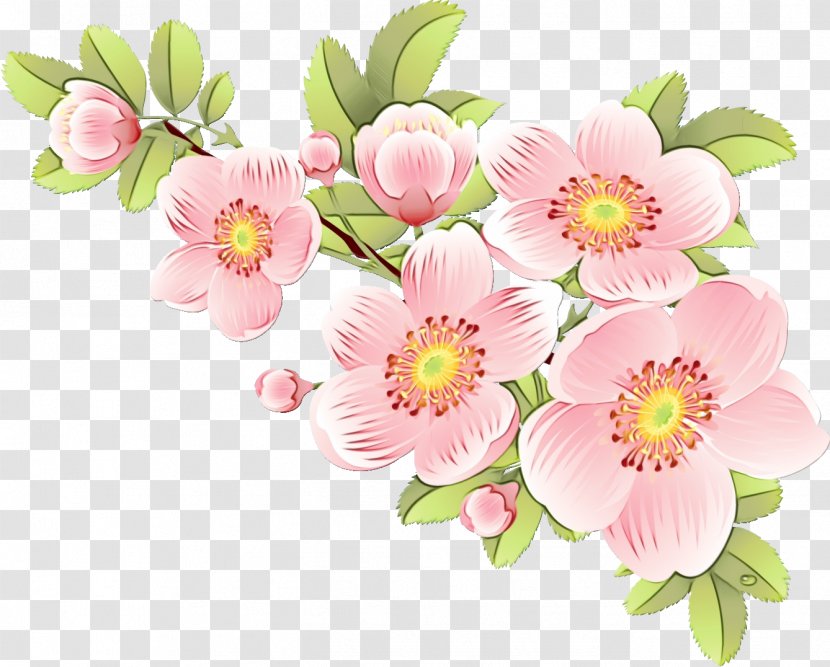 Flower Bouquet Floral Design Desktop Wallpaper Blossom - Botany Transparent PNG