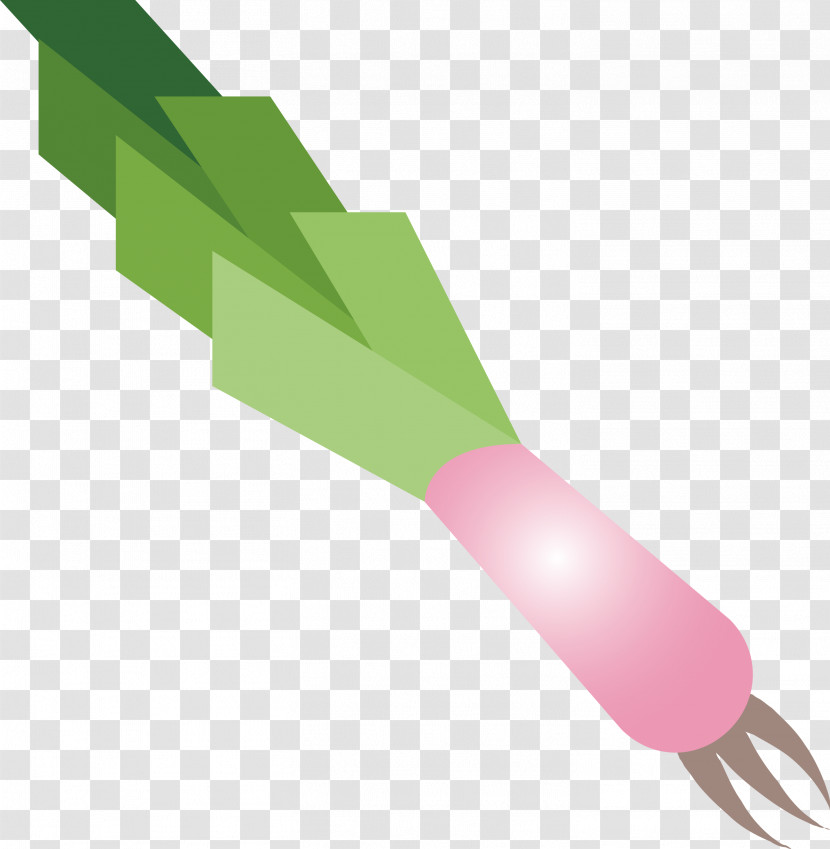 Leek Transparent PNG