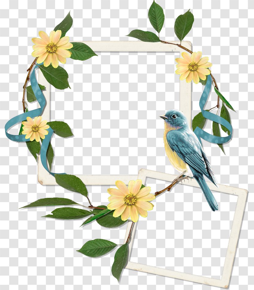 Picture Frames Digital Scrapbooking Paper - Beak - Beautiful Hello Spring Transparent PNG