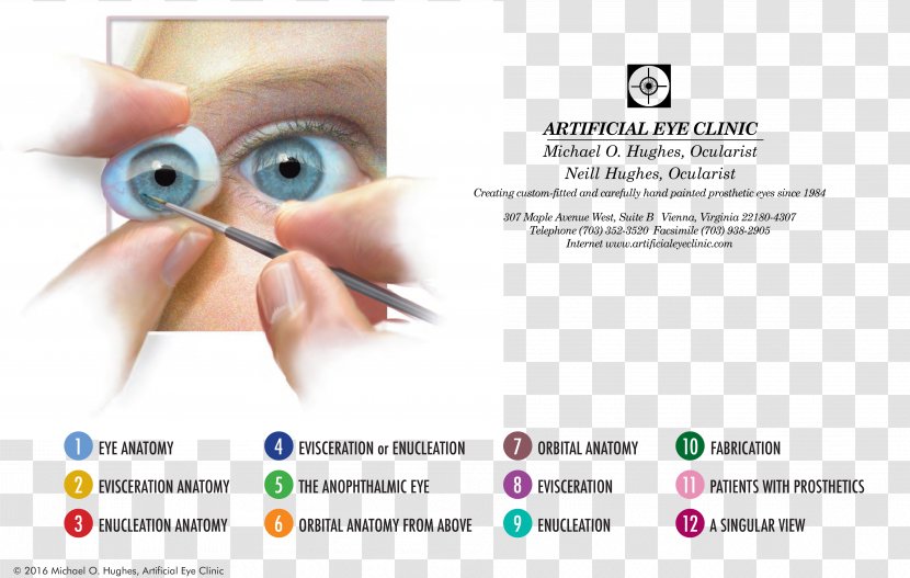 Human Eye Ocular Prosthesis Ocularist Care Professional - Cartoon - Clinic Transparent PNG